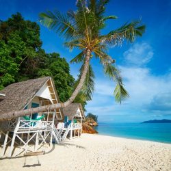 191003031751-05-malaysia-best-islands-r9kcejxr6t4a87bgn6ucllzcgzqfu32bxug7amz70k